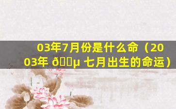 03年7月份是什么命（2003年 🐵 七月出生的命运）